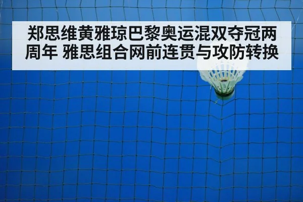 badminton net play