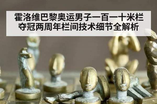 霍洛维巴黎奥运男子一百一十米栏夺冠两周年栏间技术细节全解析